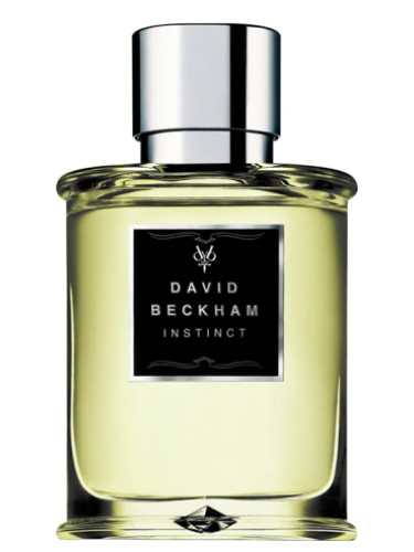 Духи DAVID BECKHAM INSTINCT for men duhi-selective.ru