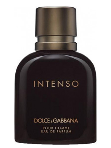 Духи DOLCE & GABBANA INTENSO for men duhi-selective.ru