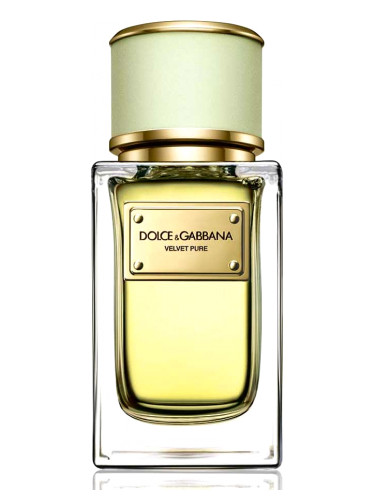 Духи DOLCE & GABBANA VELVET PURE for women duhi-selective.ru