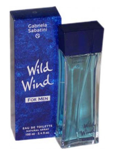 Духи GABRIELA SABATINI WILD WIND for men duhi-selective.ru