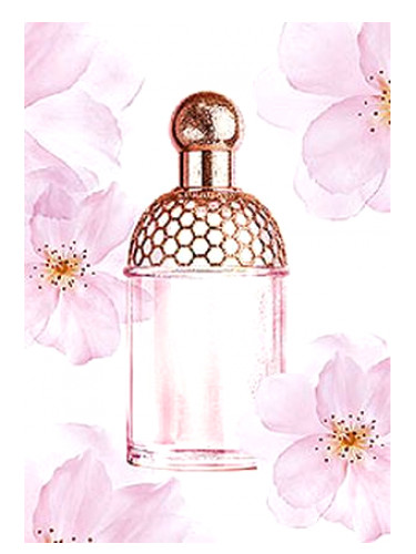 фото GUERLAIN AQUA ALLEGORIA CHERRY BLOSSOM for women - парфюм 