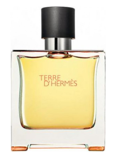 Духи HERMES TERRE DHERMES for men duhi-selective.ru