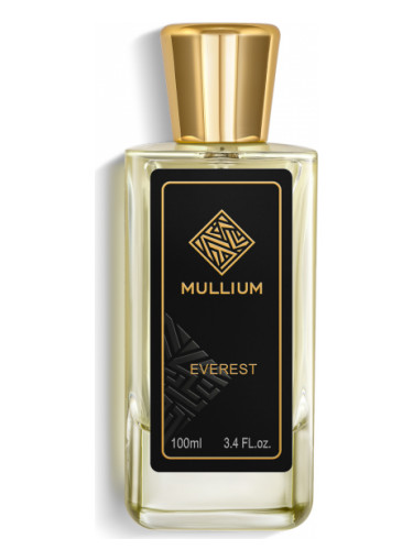 Духи MULLIUM EVEREST for men duhi-selective.ru