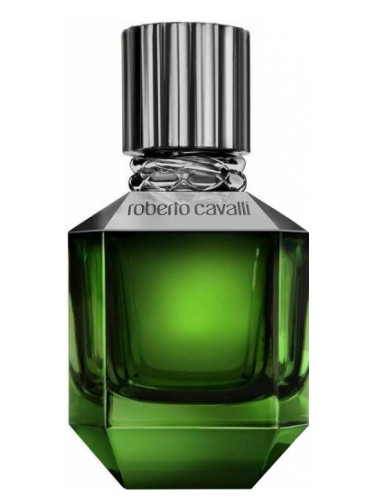 Духи ROBERTO CAVALLI PARADISE FOUND for men duhi-selective.ru